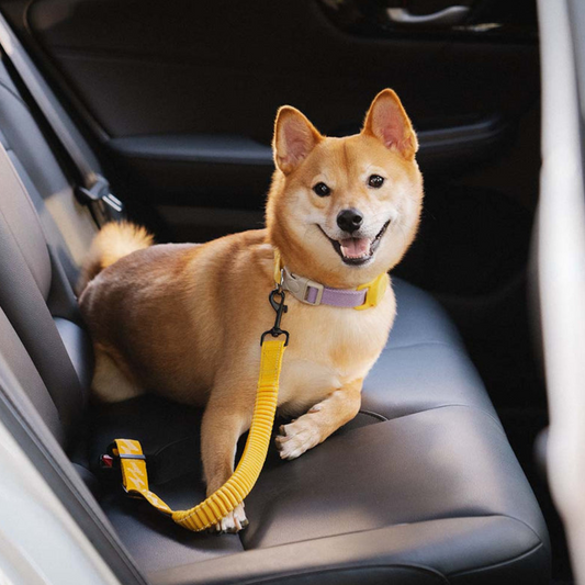 Ceinture de Sécurité Ajustable pour Chien | Voyage Sûr et Confortable