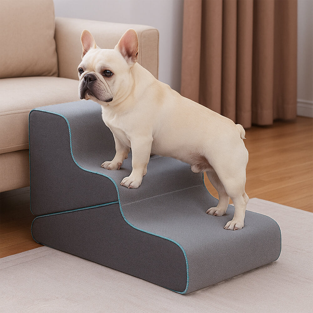 PawStride Escaliers Pliables pour Chien | Rampe et Escaliers Convertibles