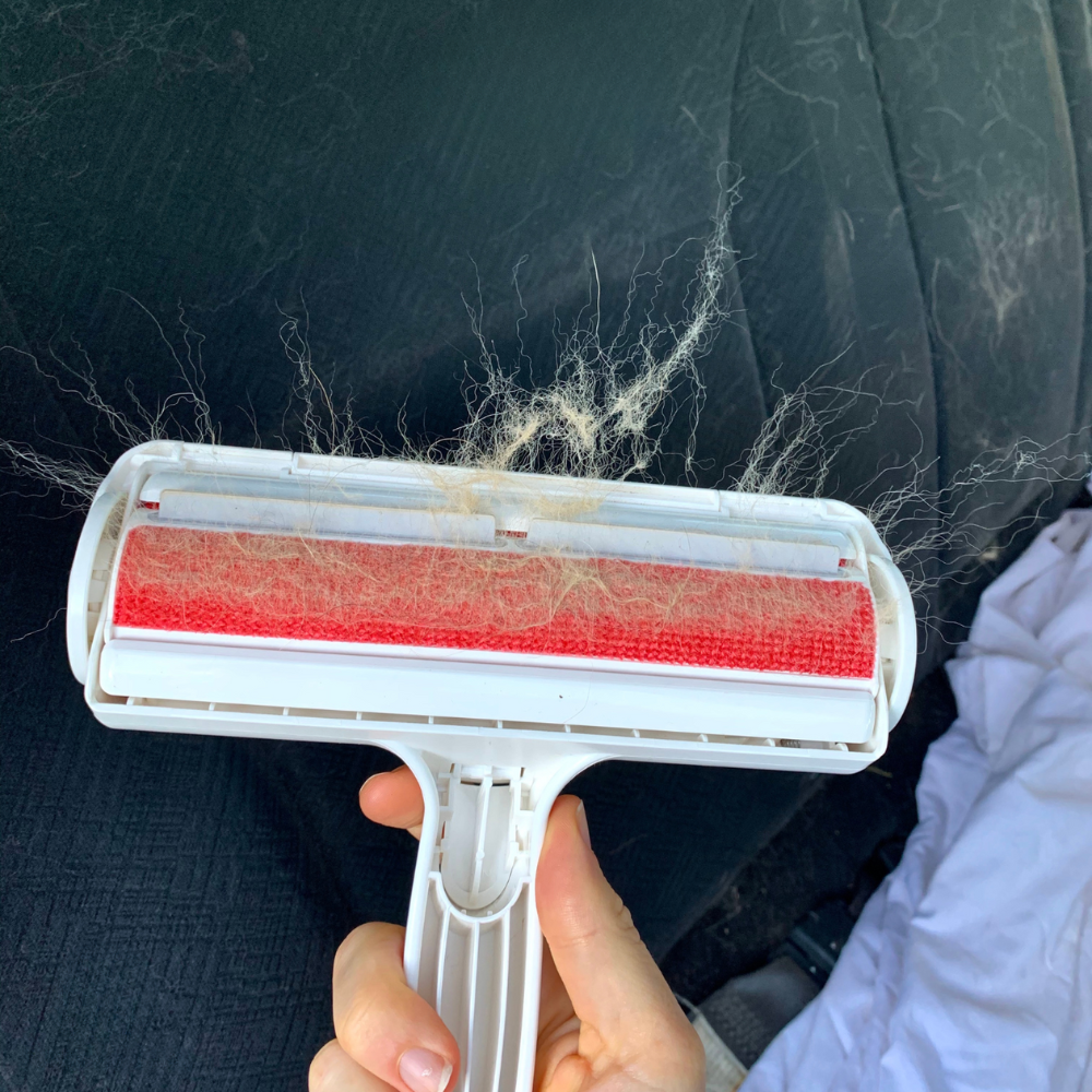 FurAway Rouleau Anti-Poils pour Animaux | Nettoyage Sans Poils Facile