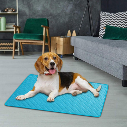 Tapis Rafraîchissant CoolPaws | Refroidissement Instantané et Portable