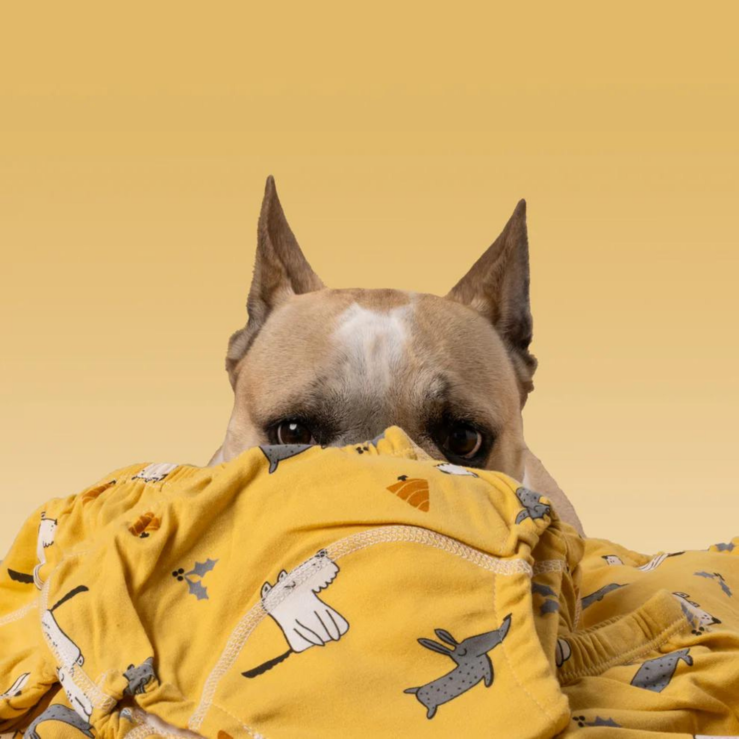 DryTrain | Couches d'apprentissage de la propreté pour bébés et enfants en bas âge